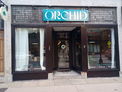 Orchid Lewiston